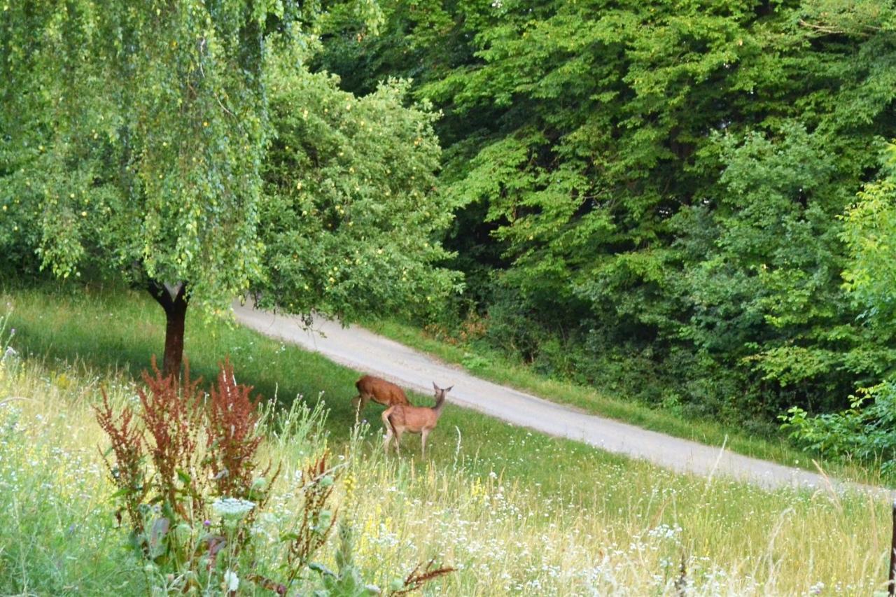 chata Trubárka Trencin Bagian luar foto